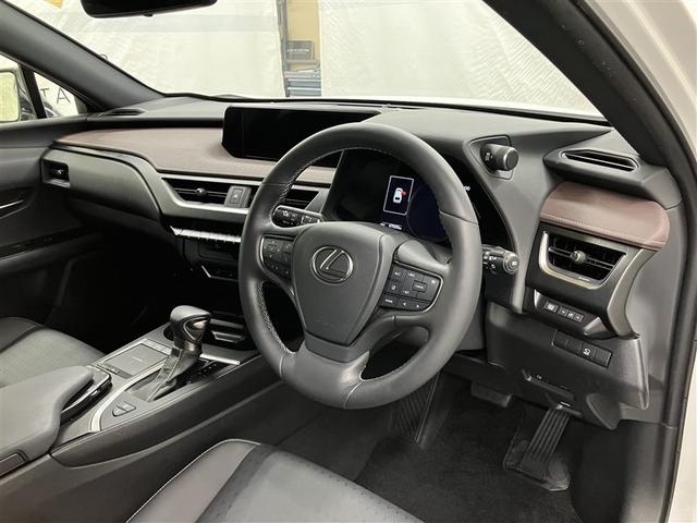 ＵＸ ＵＸ２５０ｈブラウンエディション　フルセグ　メモリーナビ　ＤＶＤ再生　ミュージックプレイヤー接続可　バックカメラ　衝突被害軽減システム　ＥＴＣ　ドラレコ　ＬＥＤヘッドランプ　ワンオーナー（18枚目）