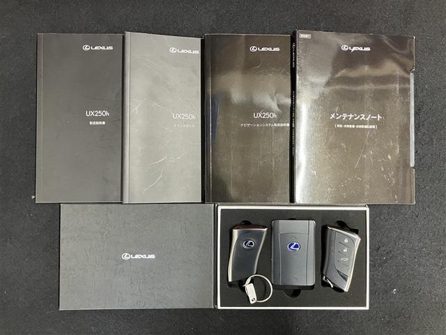 ＵＸ ＵＸ２５０ｈブラウンエディション　フルセグ　メモリーナビ　ＤＶＤ再生　ミュージックプレイヤー接続可　バックカメラ　衝突被害軽減システム　ＥＴＣ　ドラレコ　ＬＥＤヘッドランプ　ワンオーナー（40枚目）