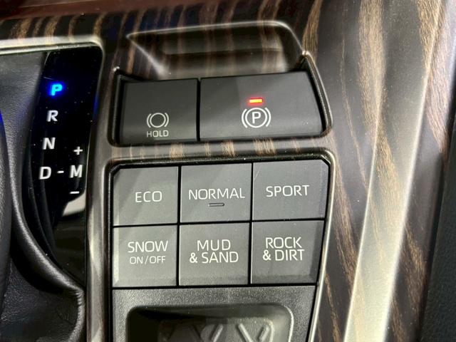 ＲＡＶ４ Ｇ　４ＷＤ　ドライブレコーダー　ＥＴＣ　全周囲カメラ　クリアランスソナー　オートクルーズコントロール　レーンアシスト　パワーシート　衝突被害軽減システム　ナビ　オートマチックハイビーム　オートライト（38枚目）