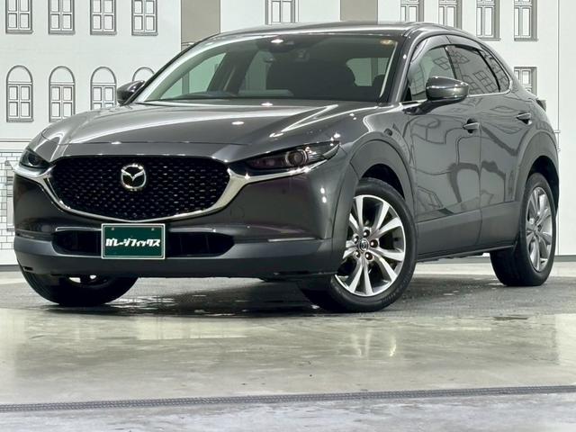 ＣＸ－３０ ２０Ｓ　プロアクティブ　ドライブレコーダー　ＥＴＣ　バックカメラ　クリアランスソナー　オートクルーズコントロール　衝突被害軽減システム　ナビ　ＴＶ　オートマチックハイビーム　オートライト　ＬＥＤヘッドランプ　電動リアゲート（12枚目）