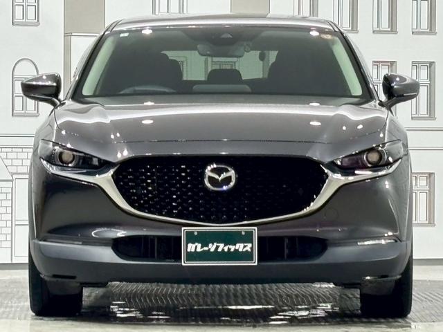 ＣＸ－３０ ２０Ｓ　プロアクティブ　ドライブレコーダー　ＥＴＣ　バックカメラ　クリアランスソナー　オートクルーズコントロール　衝突被害軽減システム　ナビ　ＴＶ　オートマチックハイビーム　オートライト　ＬＥＤヘッドランプ　電動リアゲート（13枚目）