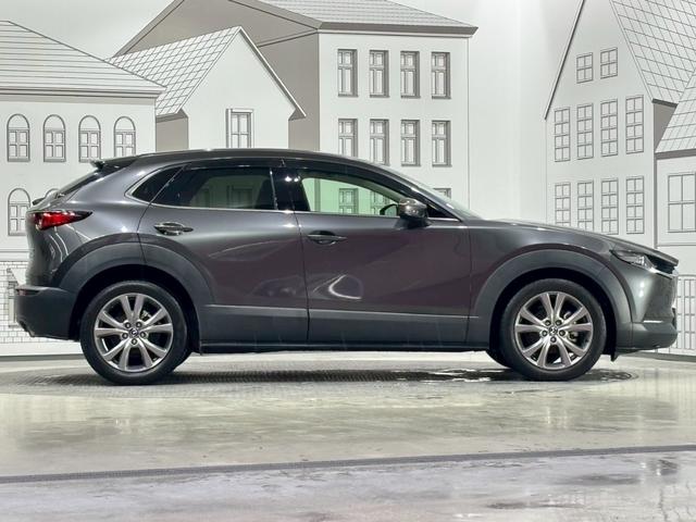 ＣＸ－３０ ２０Ｓ　プロアクティブ　ドライブレコーダー　ＥＴＣ　バックカメラ　クリアランスソナー　オートクルーズコントロール　衝突被害軽減システム　ナビ　ＴＶ　オートマチックハイビーム　オートライト　ＬＥＤヘッドランプ　電動リアゲート（15枚目）