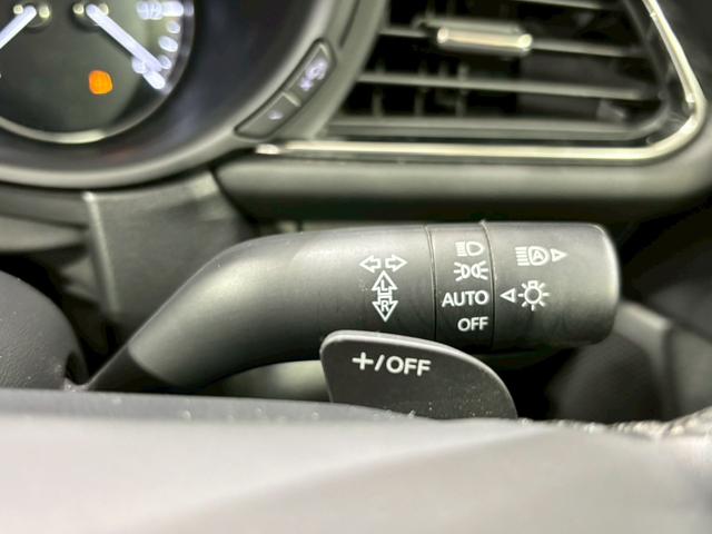 ＣＸ－３０ ２０Ｓ　プロアクティブ　ドライブレコーダー　ＥＴＣ　バックカメラ　クリアランスソナー　オートクルーズコントロール　衝突被害軽減システム　ナビ　ＴＶ　オートマチックハイビーム　オートライト　ＬＥＤヘッドランプ　電動リアゲート（24枚目）