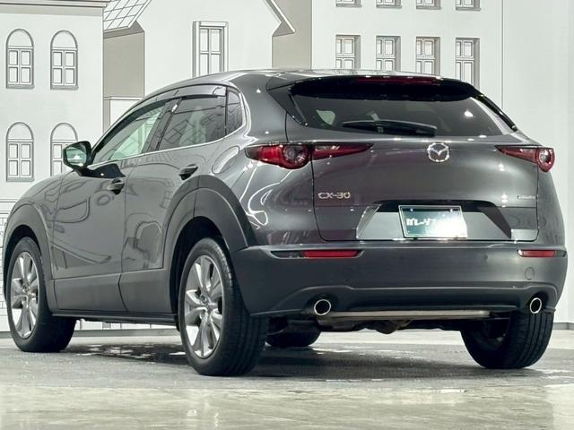 ＣＸ－３０ ２０Ｓ　プロアクティブ　ドライブレコーダー　ＥＴＣ　バックカメラ　クリアランスソナー　オートクルーズコントロール　衝突被害軽減システム　ナビ　ＴＶ　オートマチックハイビーム　オートライト　ＬＥＤヘッドランプ　電動リアゲート（27枚目）