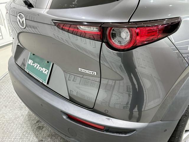 ＣＸ－３０ ２０Ｓ　プロアクティブ　ドライブレコーダー　ＥＴＣ　バックカメラ　クリアランスソナー　オートクルーズコントロール　衝突被害軽減システム　ナビ　ＴＶ　オートマチックハイビーム　オートライト　ＬＥＤヘッドランプ　電動リアゲート（30枚目）