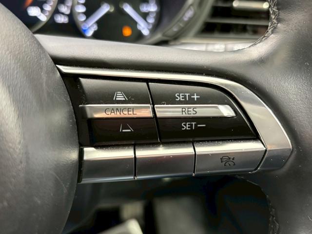 ＣＸ－３０ ２０Ｓ　プロアクティブ　ドライブレコーダー　ＥＴＣ　バックカメラ　クリアランスソナー　オートクルーズコントロール　衝突被害軽減システム　ナビ　ＴＶ　オートマチックハイビーム　オートライト　ＬＥＤヘッドランプ　電動リアゲート（33枚目）