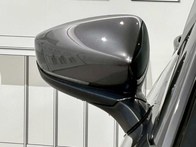 ＣＸ－３０ ２０Ｓ　プロアクティブ　ドライブレコーダー　ＥＴＣ　バックカメラ　クリアランスソナー　オートクルーズコントロール　衝突被害軽減システム　ナビ　ＴＶ　オートマチックハイビーム　オートライト　ＬＥＤヘッドランプ　電動リアゲート（38枚目）