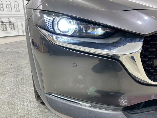 ＣＸ－３０ ２０Ｓ　プロアクティブ　ドライブレコーダー　ＥＴＣ　バックカメラ　クリアランスソナー　オートクルーズコントロール　衝突被害軽減システム　ナビ　ＴＶ　オートマチックハイビーム　オートライト　ＬＥＤヘッドランプ　電動リアゲート（40枚目）