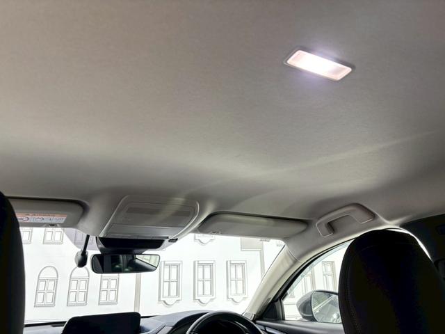 ＣＸ－３０ ２０Ｓ　プロアクティブ　ドライブレコーダー　ＥＴＣ　バックカメラ　クリアランスソナー　オートクルーズコントロール　衝突被害軽減システム　ナビ　ＴＶ　オートマチックハイビーム　オートライト　ＬＥＤヘッドランプ　電動リアゲート（53枚目）