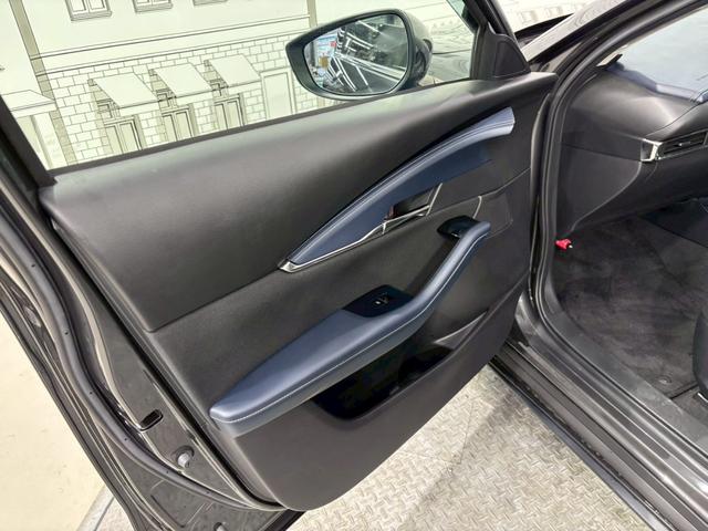 ＣＸ－３０ ２０Ｓ　プロアクティブ　ドライブレコーダー　ＥＴＣ　バックカメラ　クリアランスソナー　オートクルーズコントロール　衝突被害軽減システム　ナビ　ＴＶ　オートマチックハイビーム　オートライト　ＬＥＤヘッドランプ　電動リアゲート（56枚目）