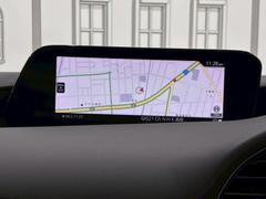 ιԤ쥸㡼ˤ͡ʥǴԤ˱¿ʥդ 4