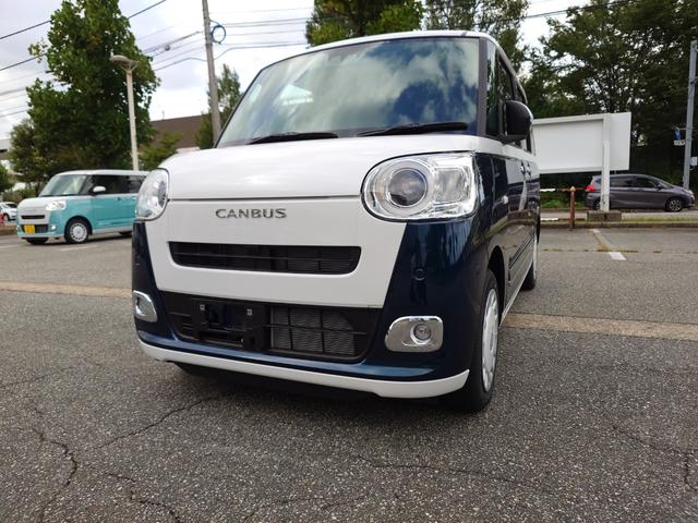 ムーヴキャンバス ストライプスＧ（2枚目）