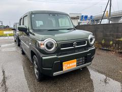 ������١��¼֤�������������� 3