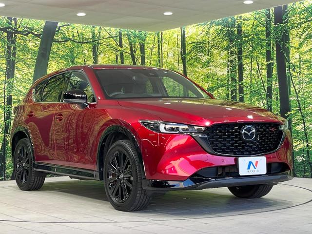 CX-5 25S スポーツアピアランス 純正10.25型ナビ 360度ビューモニタ パワーバックドア シートヒーター ブラインドスポットモニタ スマートブレーキサポート ETC パワーシート ステアリングヒーター ドラレコ コーナーセンサー(17枚目)