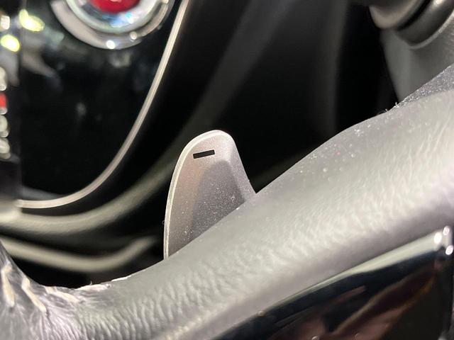 N-WGNカスタム G・ターボパッケージ 純正ナビ バックカメラ ターボ シティブレーキアクティブシステム クルーズコントロール ETC ドライブレコーダー パドルシフト HIDランプ LEDフォグ オートライト オートエアコン スマートキー(32枚目)