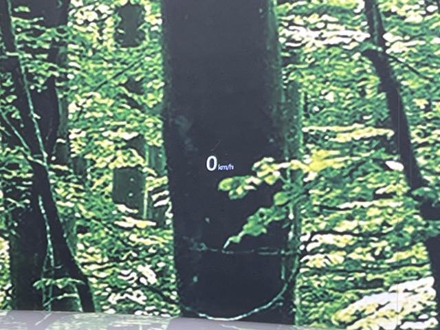 CX-8 XD Lパッケージ 4WD マツダコネクト 後席モニター 360度ビュー BOSE スマートブレーキサポート ブラインドスポットモニター パワーバックドア レザーシート 前/中列シートヒーター ステアリングヒーター(31枚目)