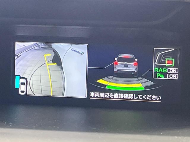 フォレスター アドバンス 4WD 純正ダイアトーンナビ アイサイト バックカメラ パワーバックドア ドライブレコーダー ETC ブラインドスポットモニター ステアリングヒーター 全席シートヒーター 禁煙車 ドアバイザー(29枚目)
