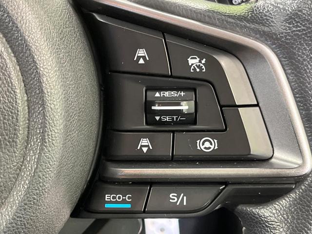 フォレスター アドバンス 4WD 純正ダイアトーンナビ アイサイト バックカメラ パワーバックドア ドライブレコーダー ETC ブラインドスポットモニター ステアリングヒーター 全席シートヒーター 禁煙車 ドアバイザー(35枚目)