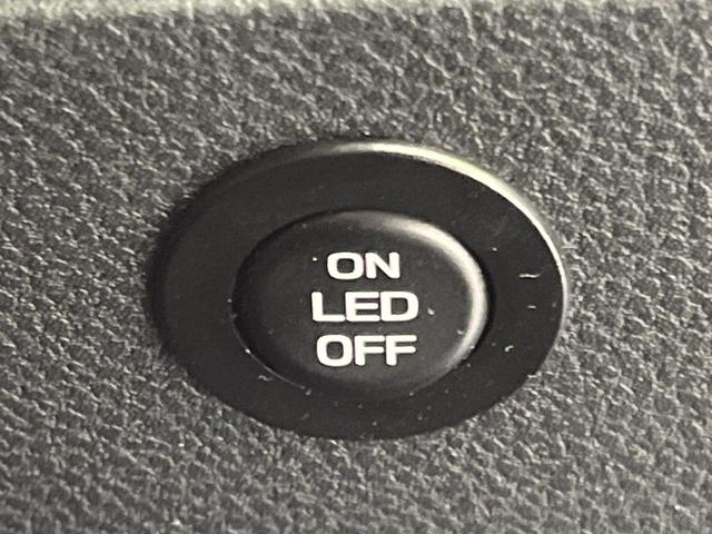 フォレスター アドバンス 4WD 純正ダイアトーンナビ アイサイト バックカメラ パワーバックドア ドライブレコーダー ETC ブラインドスポットモニター ステアリングヒーター 全席シートヒーター 禁煙車 ドアバイザー(51枚目)