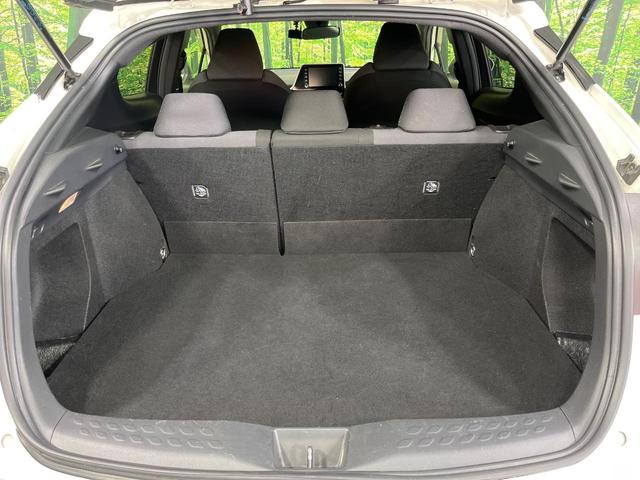 Ｃ－ＨＲ Ｓ　純正８インチナビ　バックカメラ　セーフティセンス　レーダークルーズコントロール　ＬＥＤヘッドライト　オートハイビーム　ＥＴＣ　ドラレコ　レーンキープアシスト　オートホールド（47枚目）