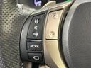 RX350 Fスポーツ 4WD ムーンルーフ 純正ナビ レザーシート クルーズコントロール パワーバックドア 前席シートヒーター パワーシート フルセグTV DVD再生 Bluetooth バックカメラ 100V電源 ETC(36枚目)