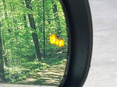 ڥ֥饤ɥݥåȥ˥桢ɥߥ顼λѤˤʤ䤹ս˸³֤᤹ܶȥɥߥ顼ն˷ٹɽɥ饤Сմ򤷤Ƥޤ 7