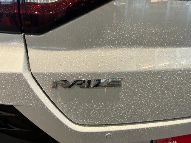 ライズ Z 4WD 登録済未使用車 LEDヘッドランプ アルミホイール シートヒーター 衝突被害軽減ブレーキ アイドリングストップ 横滑り防止装置 クリアランスソナー クルーズコントロール 盗難防止システム(14枚目)