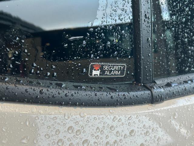 ライズ Z 4WD 登録済未使用車 LEDヘッドランプ アルミホイール シートヒーター 衝突被害軽減ブレーキ アイドリングストップ 横滑り防止装置 クリアランスソナー クルーズコントロール 盗難防止システム(29枚目)