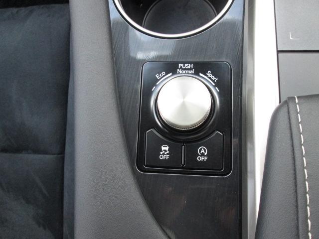 ＲＸ ＲＸ３００　ＥＴＣ　純正ナビ　ＴＶ　バックカメラ　全方位モニタ－　パワーバックドア　ＡＵＴＯ　ＨＯＬＤ　レーダークルーズコントロール　レーントレーシングアシスト　ブラインドスポットモニター（28枚目）