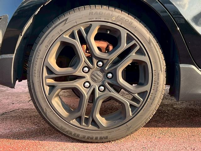 スイフトスポーツ ベースグレード ベースグレード(5名)社外ナビ/バックカメラ/フルセグTV/Bluetooth/クルーズコントロール/ETC/シートヒーター/オートエアコン/スマートキープッシュスタート/スペアキー(19枚目)