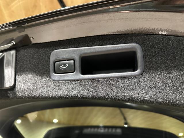 ハリアー プレミアム アドバンスドパッケージ メーカーOPナビ/TV/CD/DVD/Bluetooth/JBL パノラマモニター ETC ドラレコ 純正18インチアルミ プリクラッシュブレーキ/レーダークルーズ/レーンアシスト パワーバックドア(35枚目)