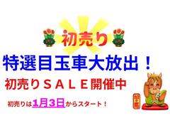 �ե꡼�ɡܥϥ��֥�å� �ϥ��֥�åɣǡ��ۥ�����󥷥󥰡������ʥӡ��ԣ֡��ã� 1150138A30251228W001 2