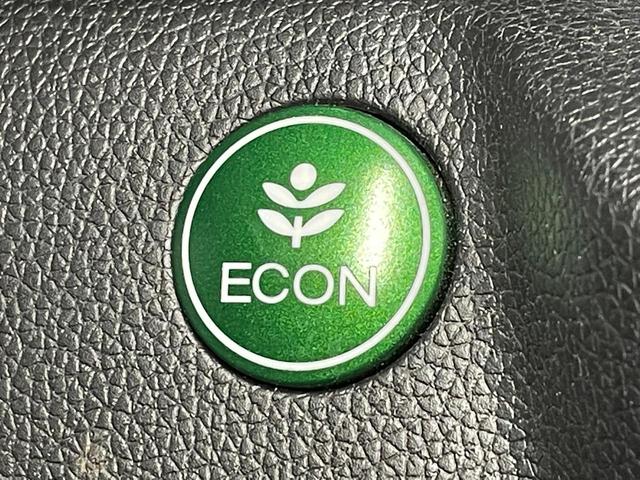 N-WGN G・スタイリッシュパッケージ SDナビ バックカメラ クルーズコントロール プッシュスタートキー ステアリングリモコン HIDヘッドライト アイドリングストップ 禁煙車 14インチアルミホイール オートエアコン(10枚目)