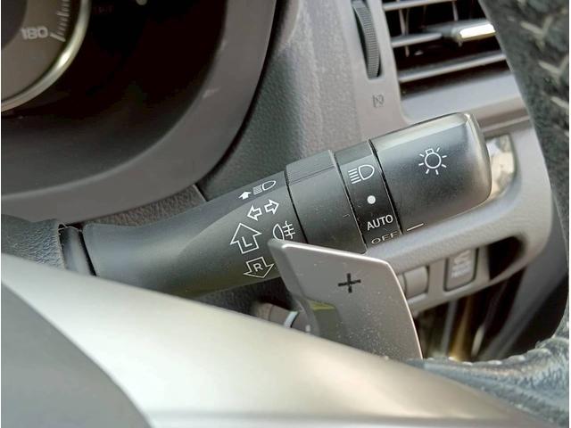 フォレスター ２．０ｉ－Ｓ　アイサイト　４ＷＤ　メモリーナビ　フルセグ　Ｂｌｕｅｔｏｏｔｈ　バックモニター　本革シート　アイサイト　ＥＴＣ　１７インチアルミ　パワーバックドア　パワーシート　シートヒーター　パドルシフト　プッシュスタート（42枚目）