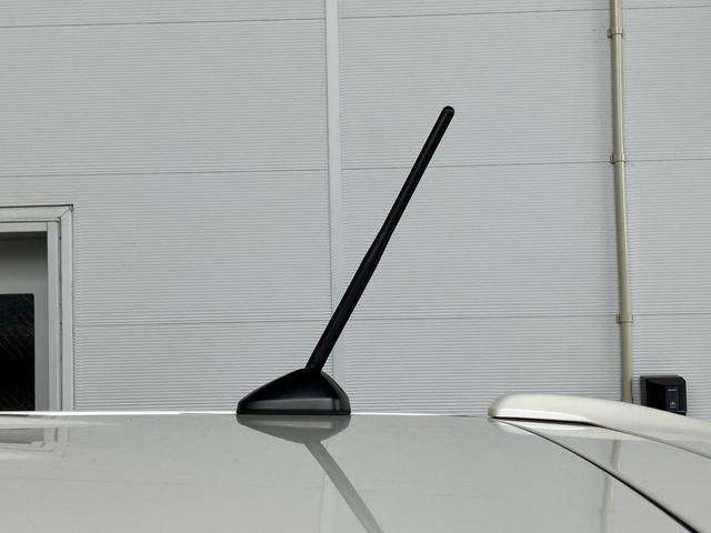 Ｎ－ＢＯＸカスタム ＧＳＳパッケージ（46枚目）