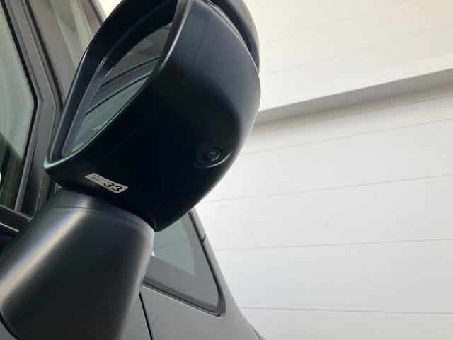 ステップワゴン スパーダプレミアムライン(46枚目)