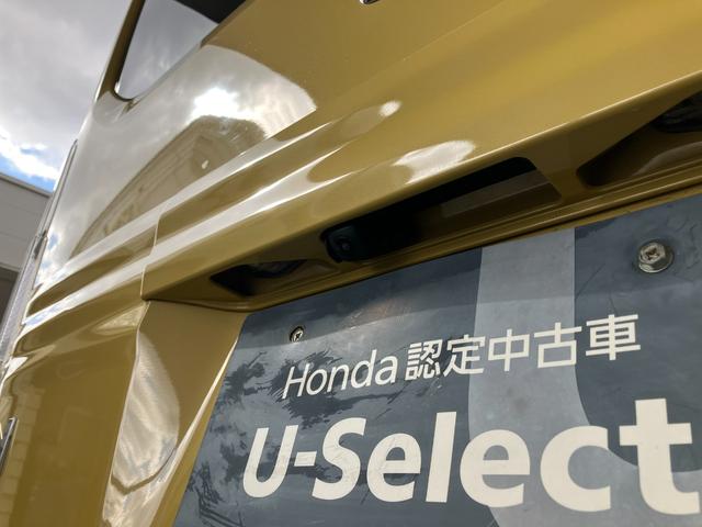 N-VAN e: e:ファン(44枚目)