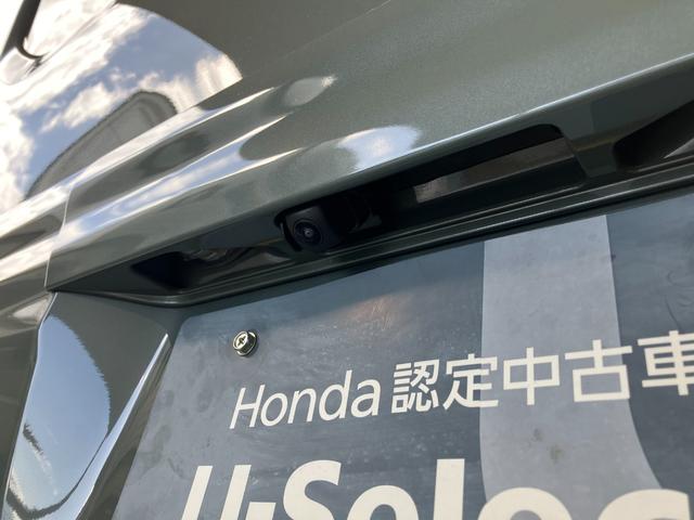 N-VAN e: e:ファン(43枚目)