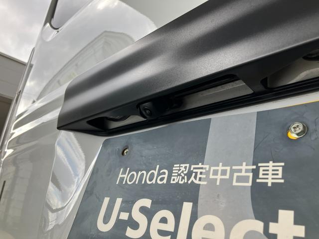 N-VAN e: e:L4(42枚目)