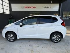 եåȥϥ֥åɡƥѥåΣףĤҲǤܥǥ顼ϡ͵Υۥ磻ȥåɡѡˤʤޤ 3