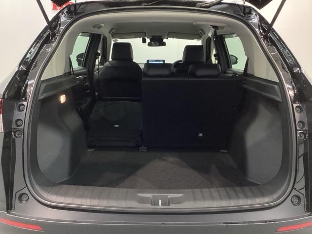 WR-V Z+ブラックスタイル H SENSING 新車保証 試乗車 ワンオ-ナ- ナビLXM-245ZFEi TV Rカメラ BTオ-ディオ ドラレコ ETC LEDライト VSA クルコン アルミ スマ-トキ- スペアキ-AAC(33枚目)