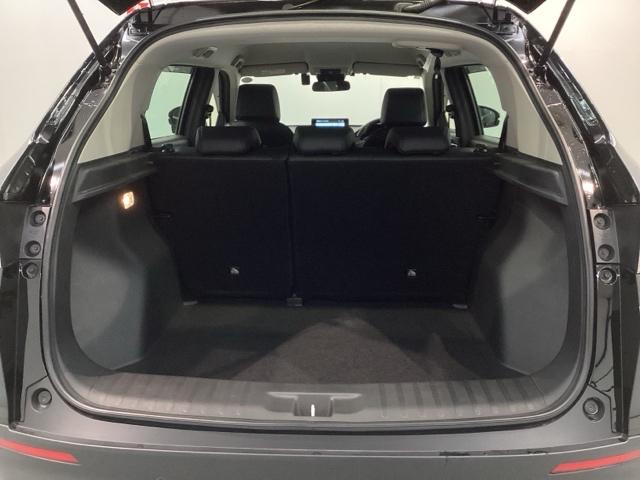 WR-V Z+ブラックスタイル H SENSING 新車保証 試乗車 ワンオ-ナ- ナビLXM-245ZFEi TV Rカメラ BTオ-ディオ ドラレコ ETC LEDライト VSA クルコン アルミ スマ-トキ- スペアキ-AAC(35枚目)