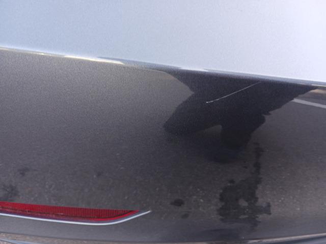 モデル３ ロングレンジ　ＡＷＤ（53枚目）