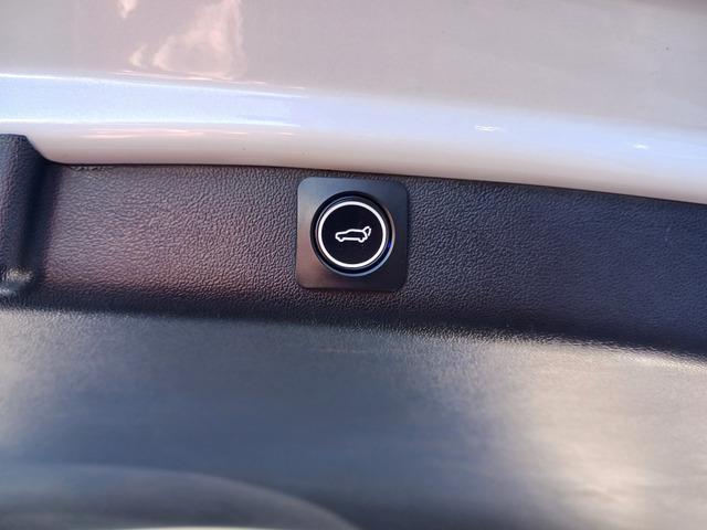 モデル３ ロングレンジ　ＡＷＤ（43枚目）