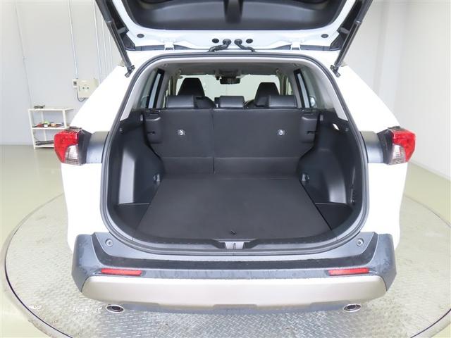 ＲＡＶ４ Ｇ　４ＷＤ　フルセグ　メモリーナビ　ミュージックプレイヤー接続可　バックカメラ　衝突被害軽減システム　ＥＴＣ　ＬＥＤヘッドランプ　ワンオーナー　記録簿（10枚目）