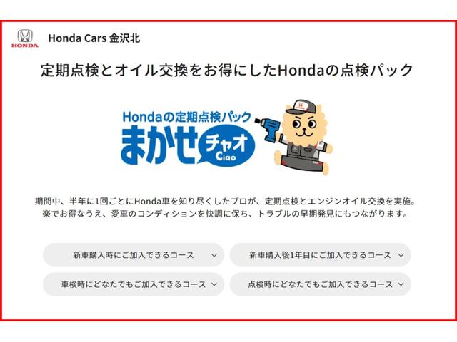 Ｎ－ＢＯＸスラッシュ Ｇ・Ａパッケージ　社外ナビ　バックカメラ（22枚目）