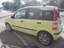 FIAT NEW PANDA