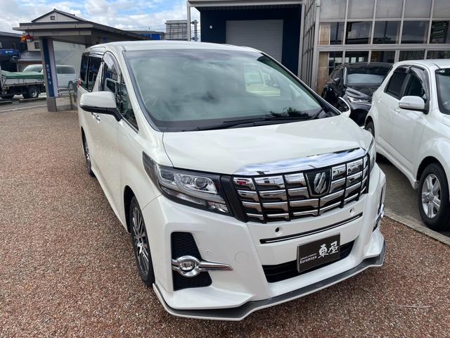 アルファード ２．５Ｓ　Ｃパッケージ　ＡＬＰＩＮＥ　ＢＩＧＸ　ナビ　フルセグＴＶ　Ｂｌｕｅｔｏｏｔｈオーディオ　後席フリップダウンモニター　両側パワースライドドア　スマートキー　プッシュスタート　純正１８インチアルミ　ＬＥＤヘッドライト（29枚目）