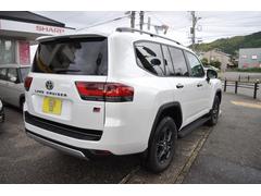 ɥ롼 ǣҥݡ 1157148A30251105W001 4