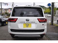 ɥ롼 ǣҥݡ 1157148A30251105W001 5